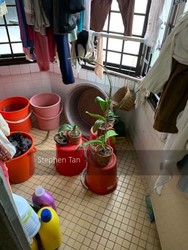 Blk 355 Hougang Avenue 7 (Hougang), HDB 4 Rooms #214848551